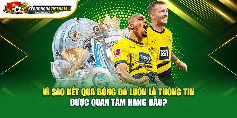 Vì sao kết quả bóng đá luôn là thông tin được quan tâm hàng đầu?