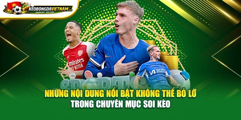 Những nội dung nổi bật không thể bỏ lỡ trong chuyên mục soi kèo