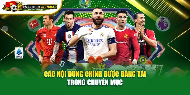 Các nội dung chính được đăng tải trong chuyên mục