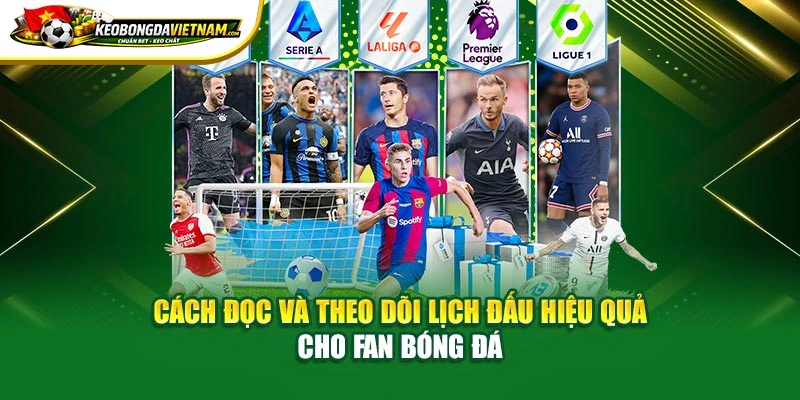 Cách đọc và theo dõi lịch đấu hiệu quả cho fan bóng đá