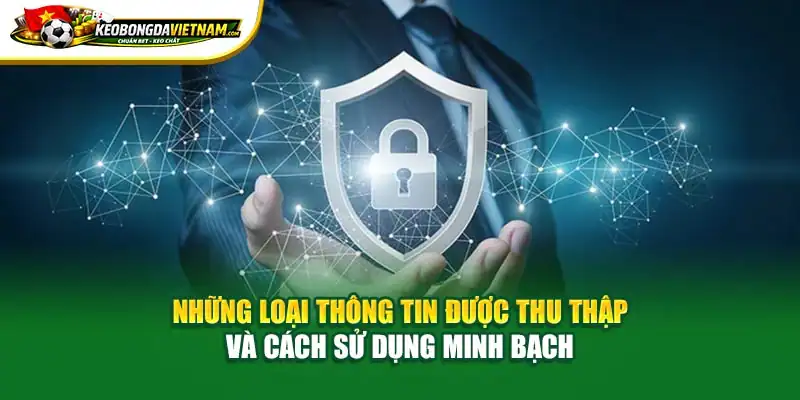 Những loại thông tin được thu thập và cách sử dụng minh bạch