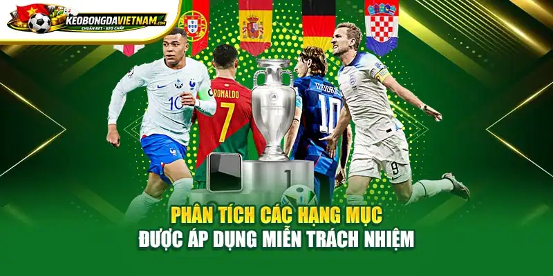Phân tích các hạng mục được áp dụng miễn trừ trách nhiệm