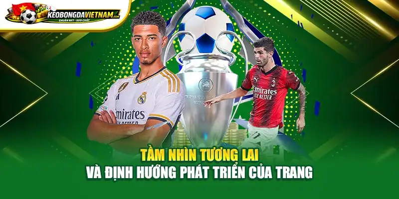 Tầm nhìn tương lai và định hướng phát triển của trang 