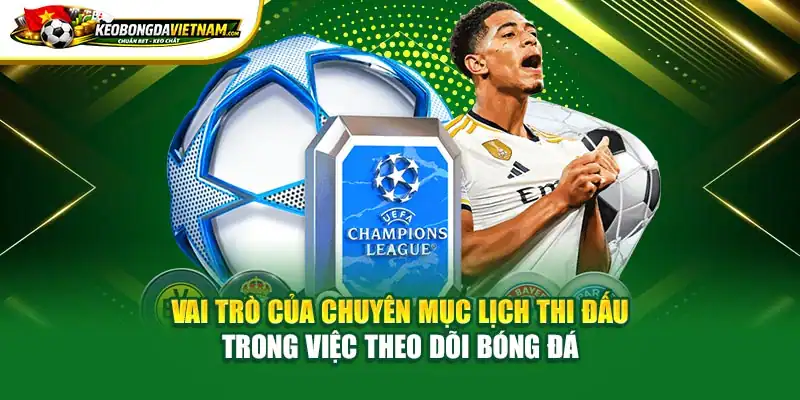 Vai trò của chuyên mục thi đấu trong việc theo dõi bóng đá