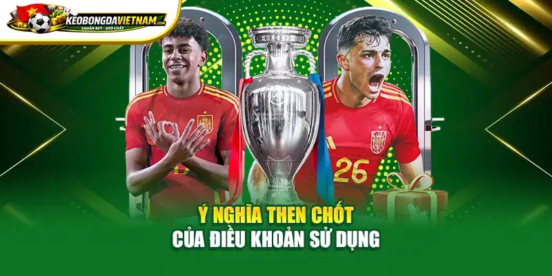 Ý nghĩa then chốt của điều khoản sử dụng